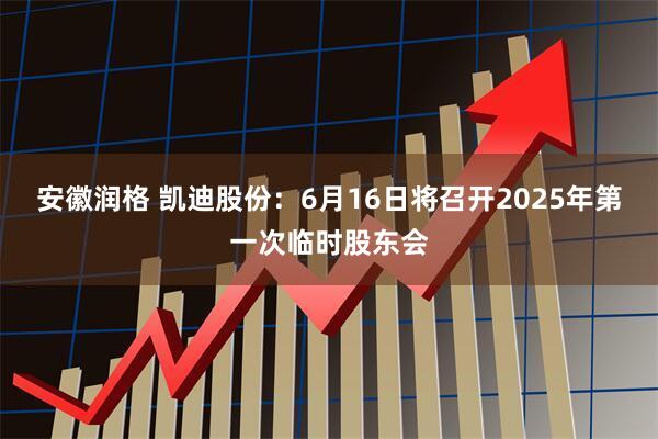 安徽润格 凯迪股份：6月16日将召开2025年第一次临时股东会