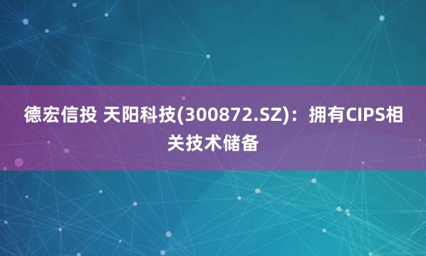 德宏信投 天阳科技(300872.SZ)：拥有CIPS相关技术储备