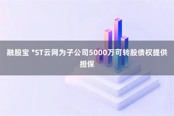 融股宝 *ST云网为子公司5000万可转股债权提供担保