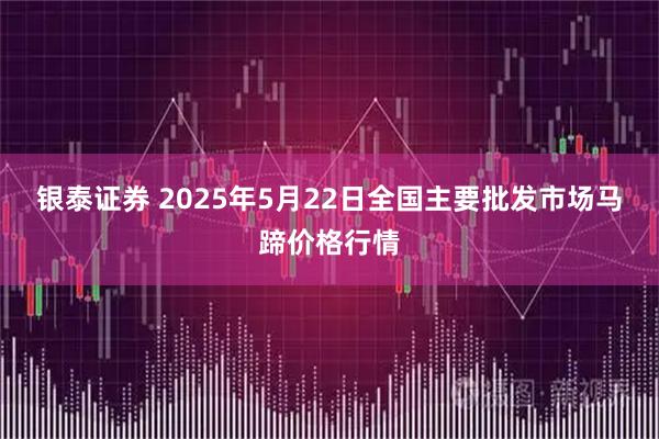 银泰证券 2025年5月22日全国主要批发市场马蹄价格行情