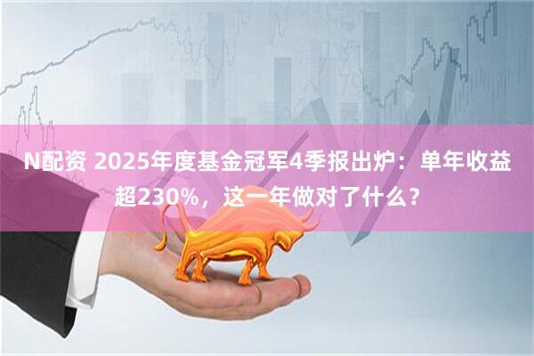 N配资 2025年度基金冠军4季报出炉：单年收益超230%，这一年做对了什么？