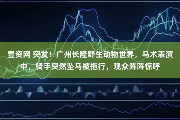 壹资网 突发！广州长隆野生动物世界，马术表演中，骑手突然坠马被拖行，观众阵阵惊呼