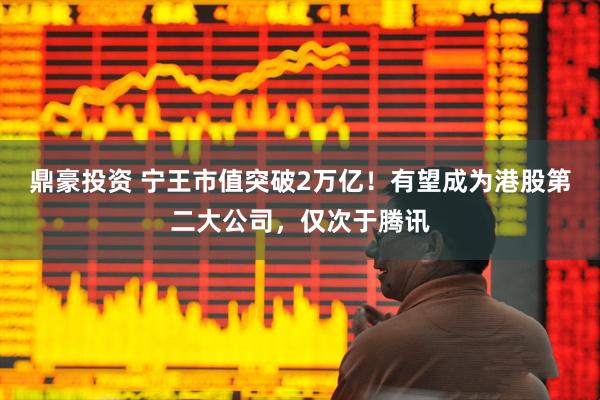 鼎豪投资 宁王市值突破2万亿！有望成为港股第二大公司，仅次于腾讯